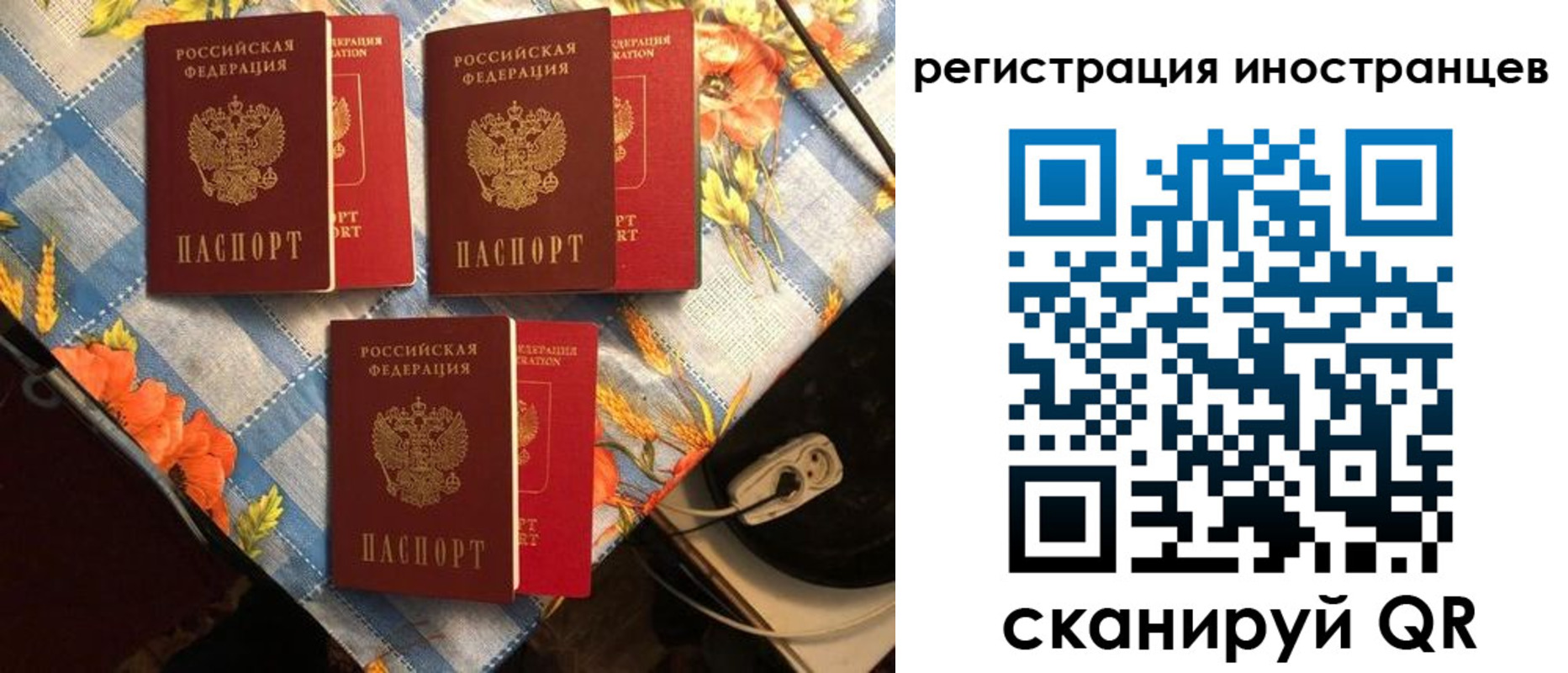 прописка поиск в Смоленске